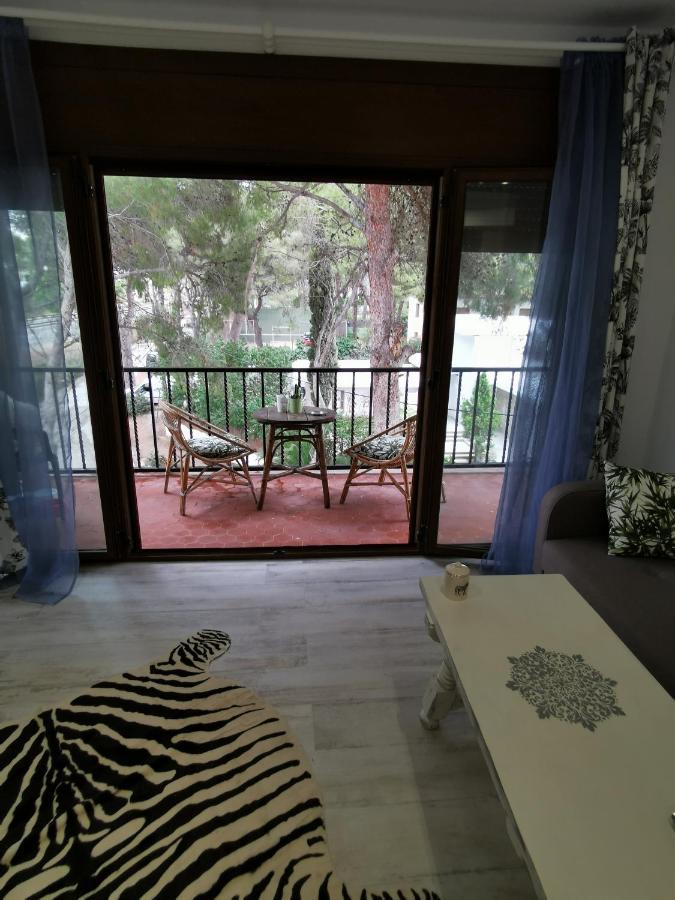 Apartamento Port De Roda De Bara -Roc Sant Gaieta 외부 사진